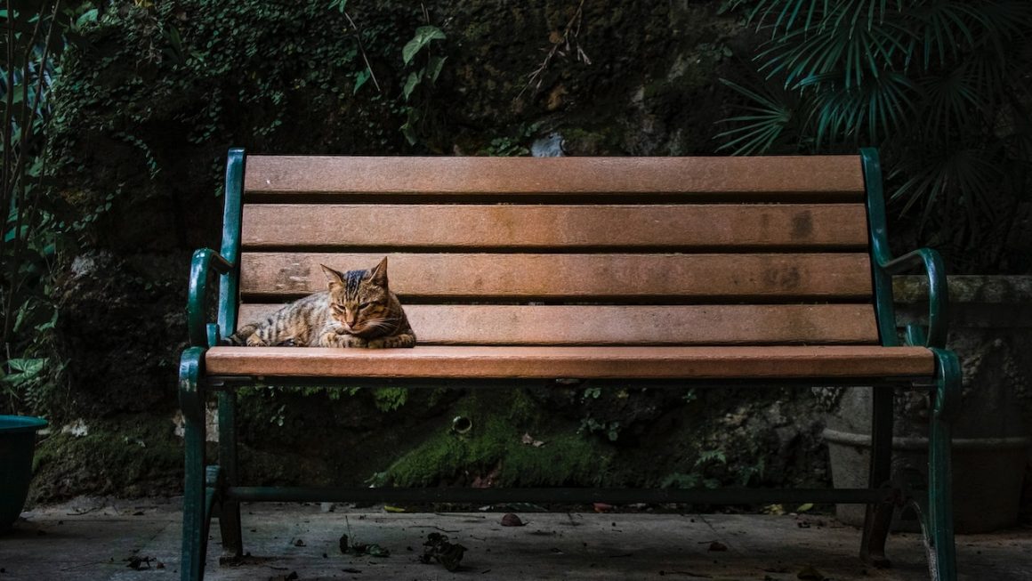 Quelques idées créatives pour fabriquer un banc de jardin authentique